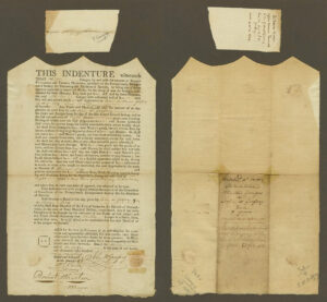 Original indenture document of Phillis Ganges