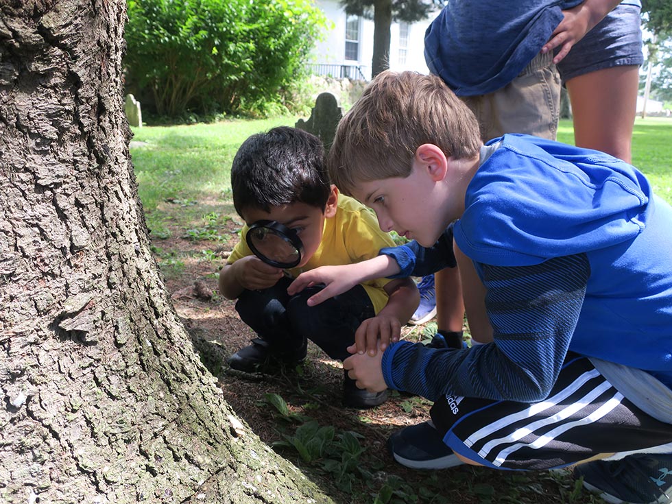 Children looking at something on a tree with a magnifying glass