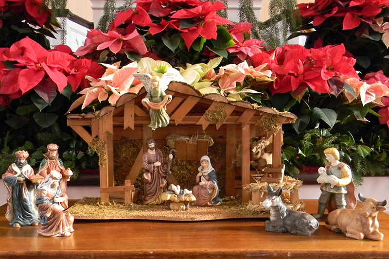 Photo of Christmas nativity with poinsettias in background
