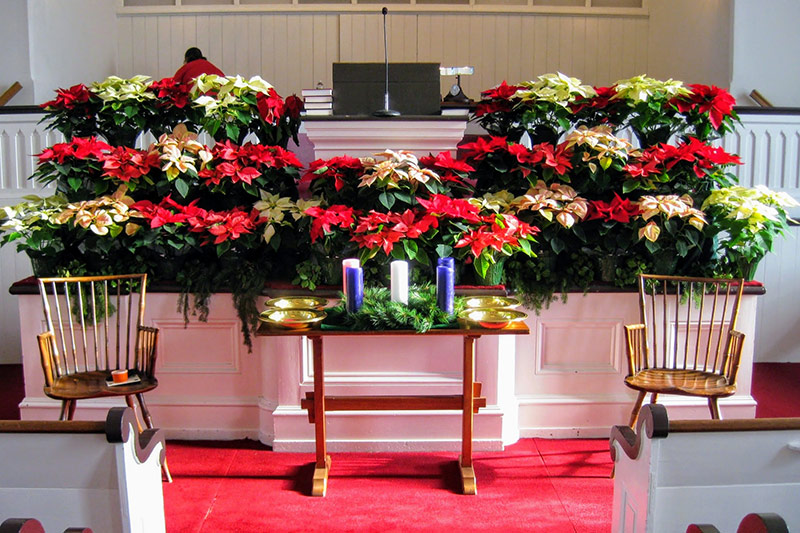 Photo of Christmas alter display with poinsettias and candles