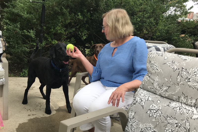 Photo of a woman holding a tennis ball with two dogs