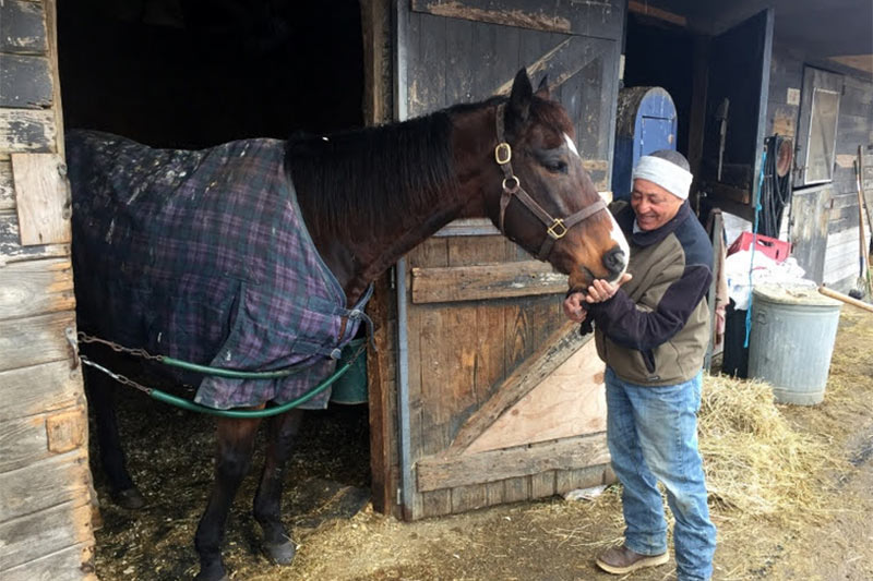 Man feeding a horse wearing a blanket